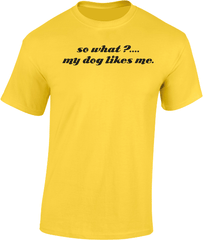 so what?....my dog likes me. T-Shirt